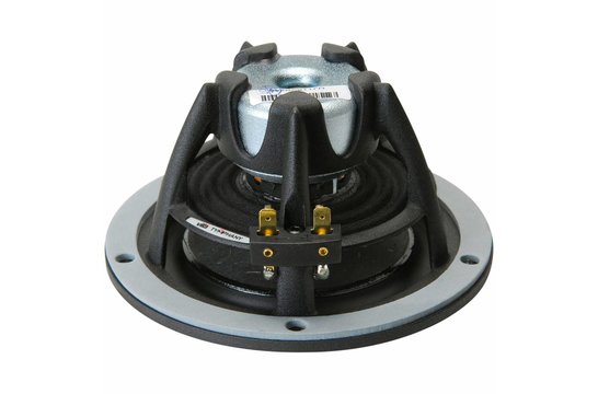 NE123W-08 Woofer a Gamma Completa