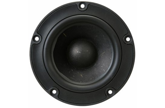 NE123W-04 Woofer a Gamma Completa