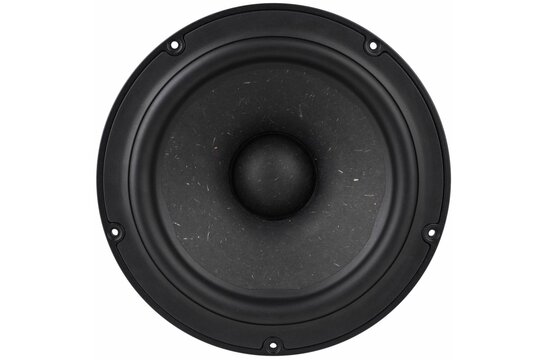 NE225W-04 Subwoofer