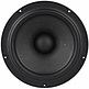 NE225W-04 Subwoofer