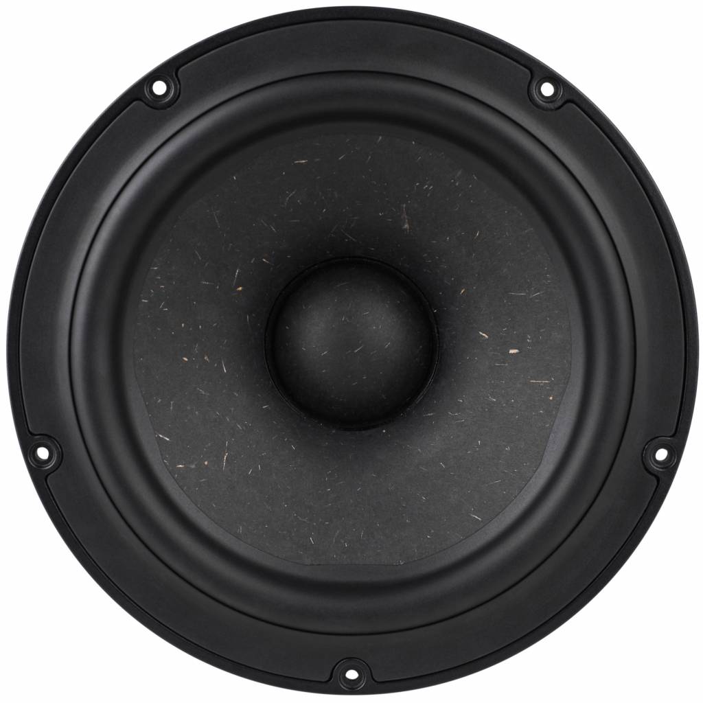 NE225W-04 8" subwoofer Tieftöner