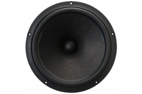 NE315W-04 Subwoofer Tieftöner