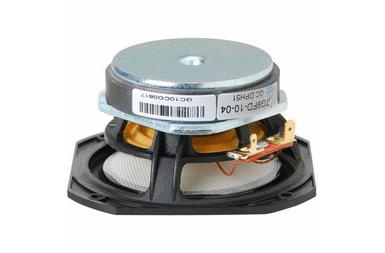 TG9FD-10-04 Woofer a Gamma Completa