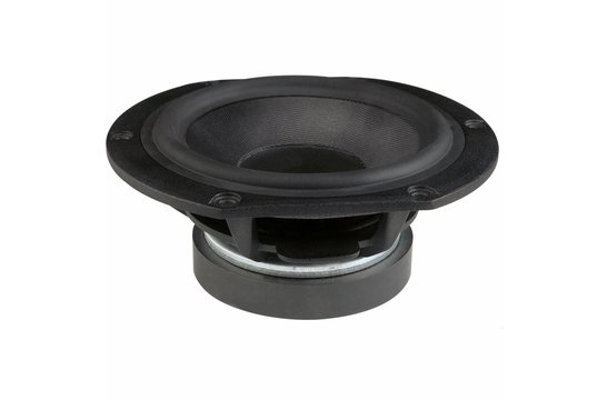 HDS-P830991 5-1/4" GFC Cone HDS Woofer