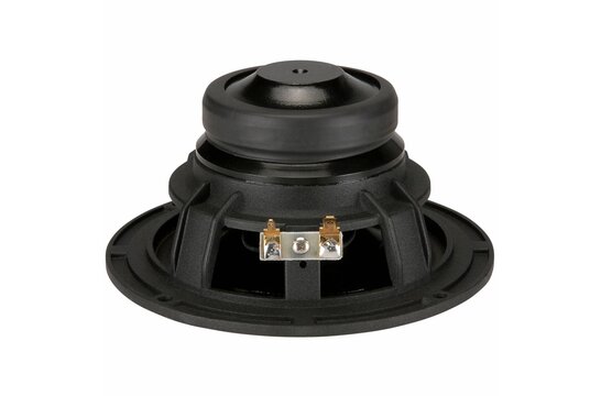 FR135EX 5" Full Range Speaker