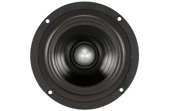 FR135EX 5" Full Range Speaker