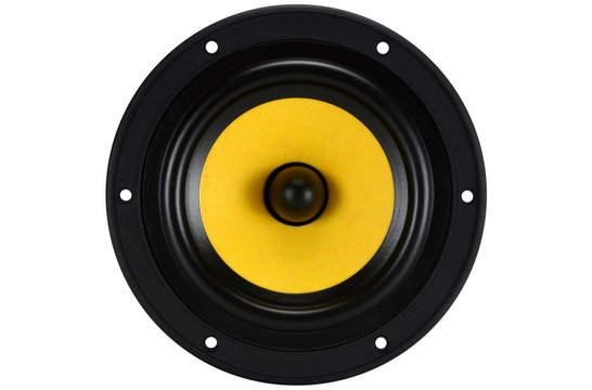 Swan F5 Bass-midwoofer