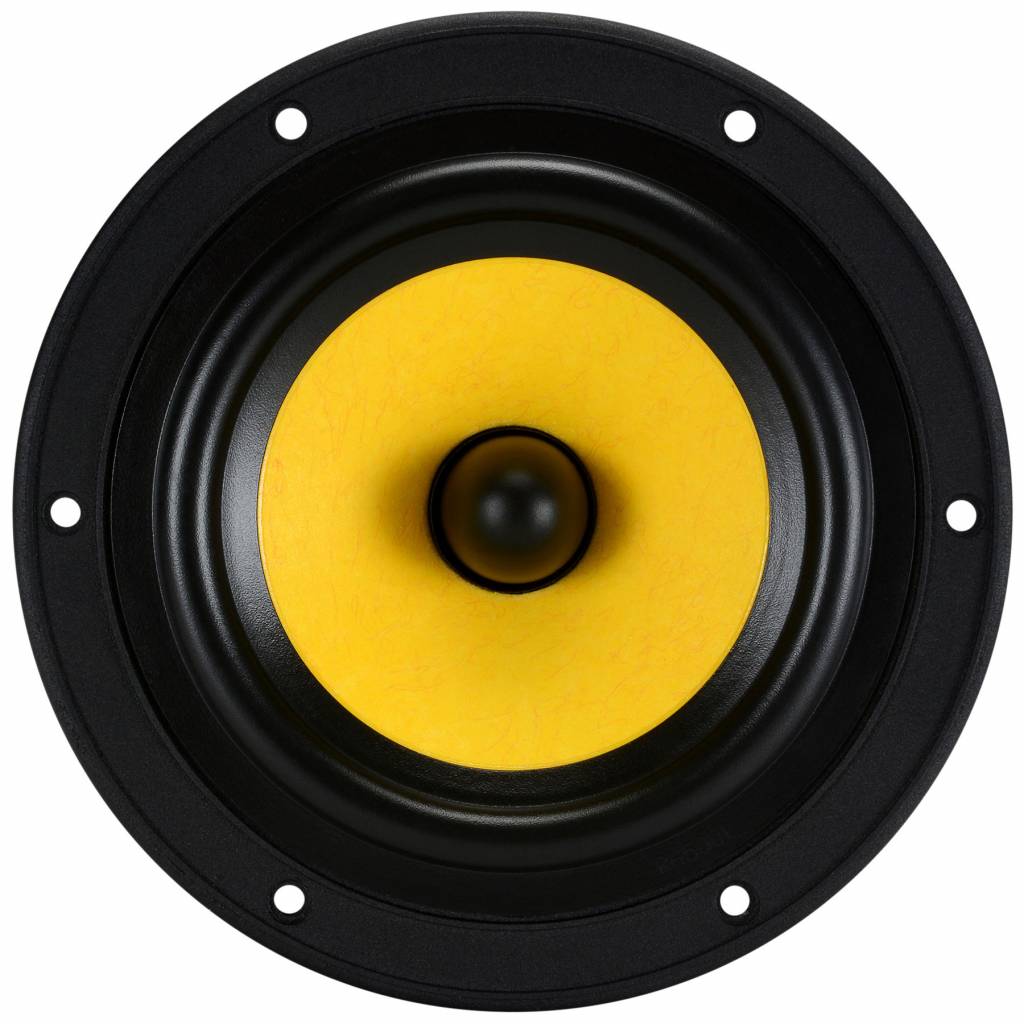 Swan F5 Bass-midwoofer