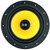 Swan F8 8" Bass/Midrange