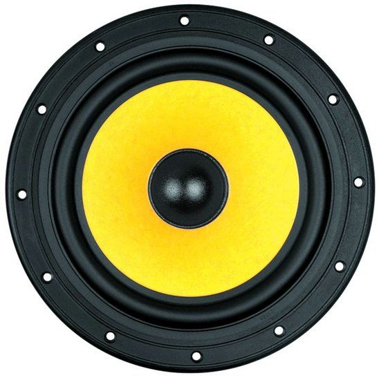 Swan F8 8" Bass/Midrange