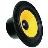 Swan F8 8" Bass/Midrange