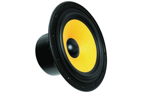 Swan F8 8" Bass/Midrange
