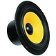 Swan F8 8" Bass/Midrange