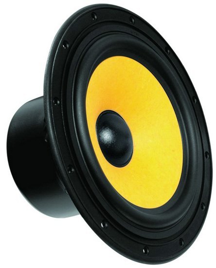 Swan F8 Bass-midwoofer