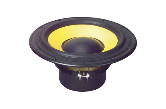 Swan F10 Woofer