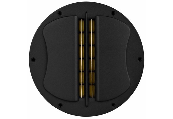 Swan RT2C-A Isodynamic Planar Tweeter