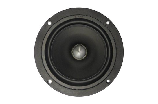 W5-1611SAF 5" Full Range Speaker