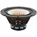 W8-1808 8" Neodymium Full Range Driver