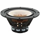 W8-1808 8" Neodymium Full Range Driver