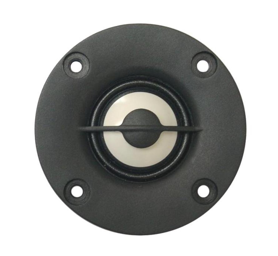 tang band tweeter