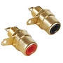 Gold Chassis Mount RCA Jack with Nut Pair