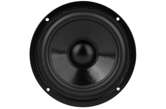 DS135-PR 5" Designer Series Passive Radiator