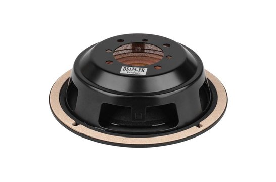 Designer DS135-PR Radiatore Passivo