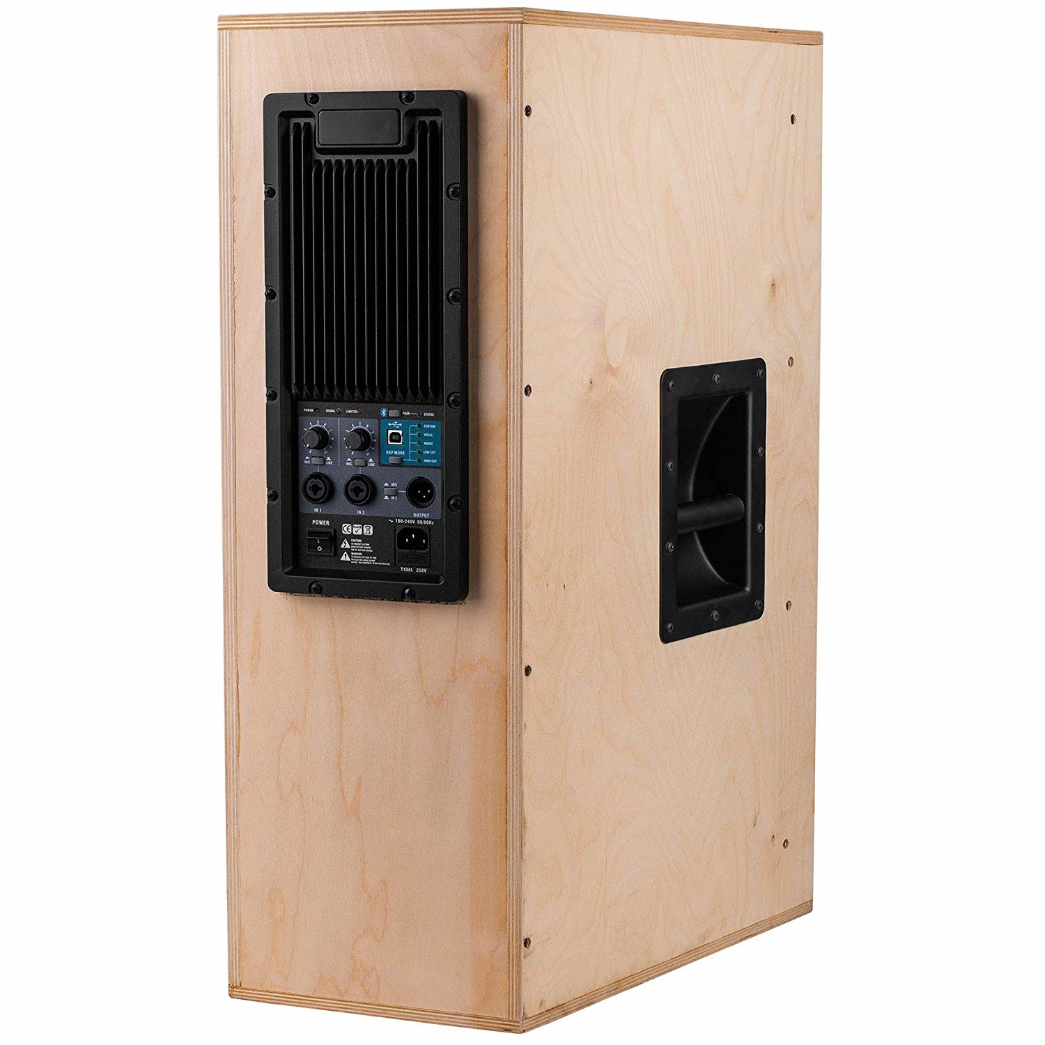 PPA800DSP Amplificatore a Piastra