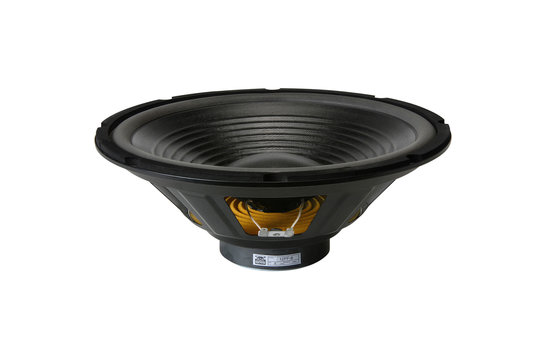 12PF-8 12" Paper Cone Foam Surround Woofer