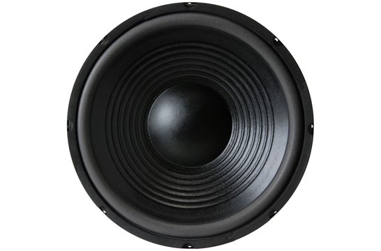12PF-8 12" Paper Cone Foam Surround Woofer