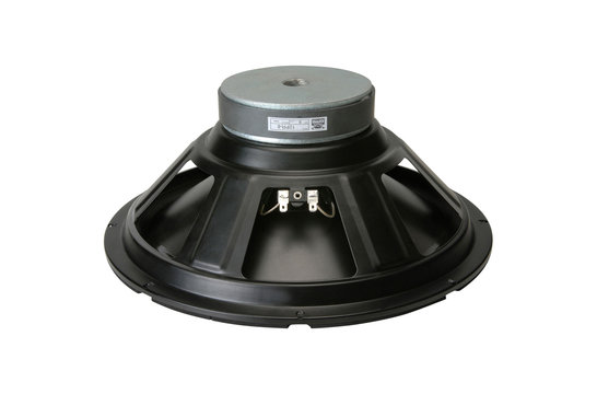12PR-8 12" Poly Cone Rubber Surround Woofer
