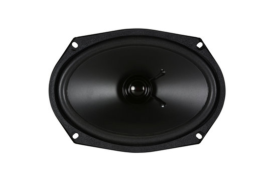 69AS-4 Replacement Woofer a Gamma Completa