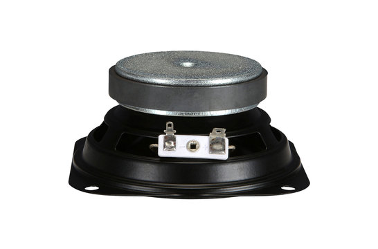 4AS-4 Replacement Full-range Woofer