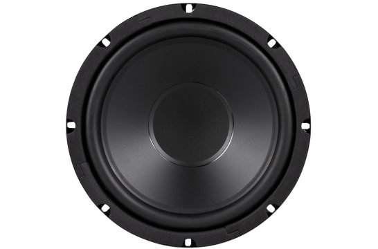 8SW-4 Subwoofer Tieftöner 8"