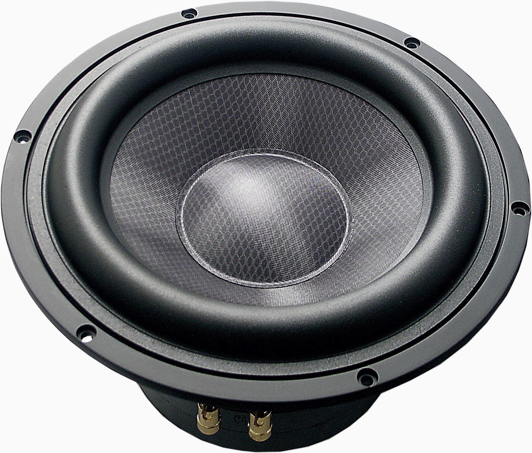 TIW 250 XS Subwoofer Tieftöner
