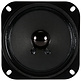 R 10 S - 8 Full-range Woofer