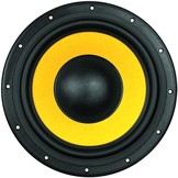 Swan F10 10" Woofer