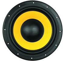 Swan F10 Woofer