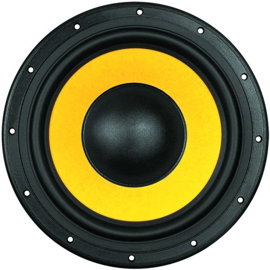 Swan F10 Woofer