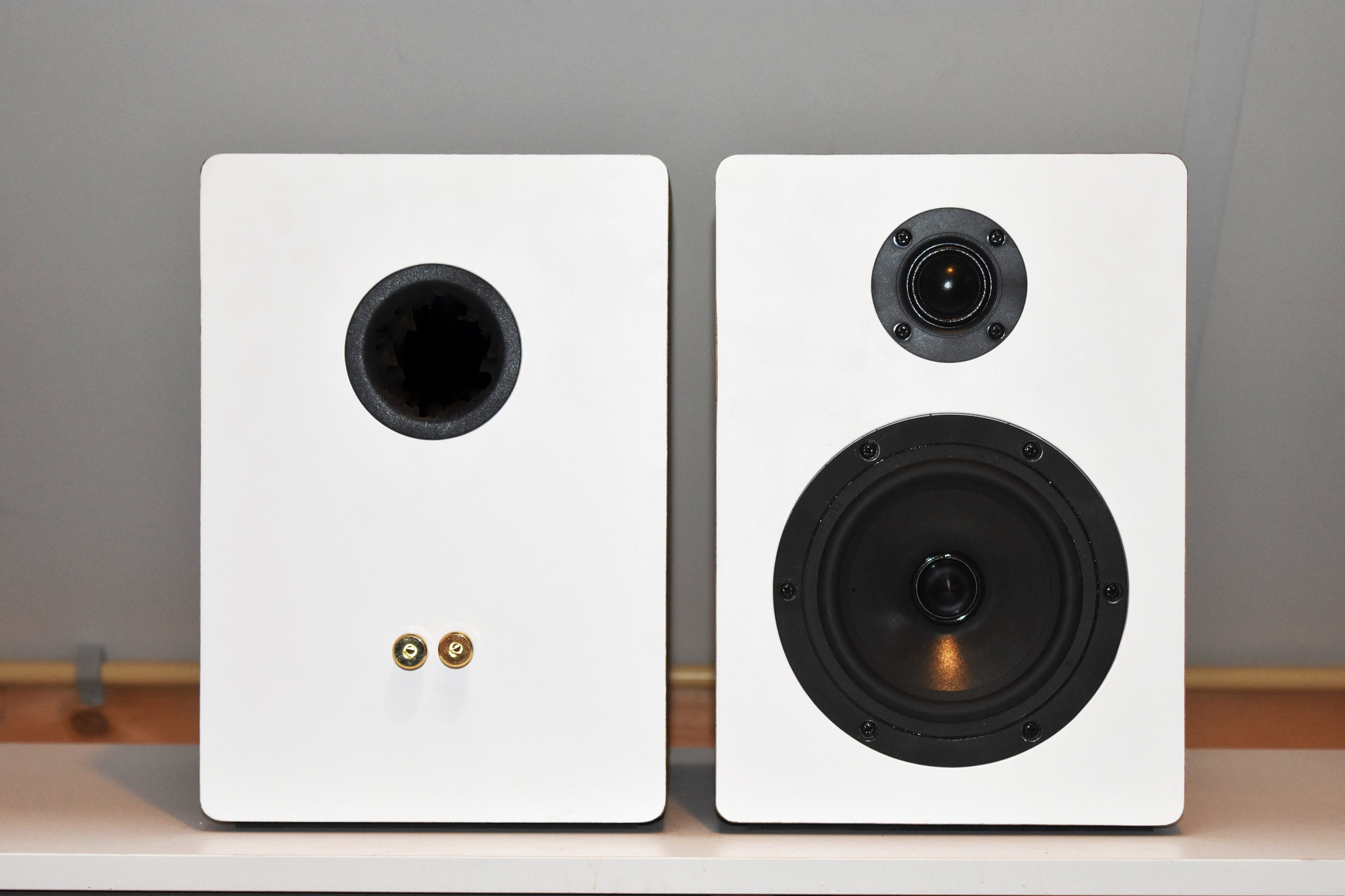 6" Reference bookshelf speaker