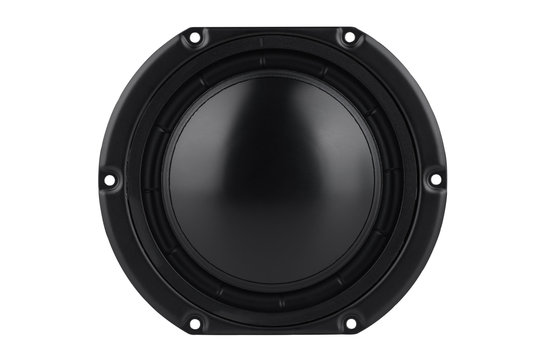 GBS-135F25AL02-04 Woofer Medio-Bassi