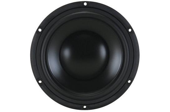 TiW 634Ft Titanium Series Ferrite 6" Woofer 4 Ohm