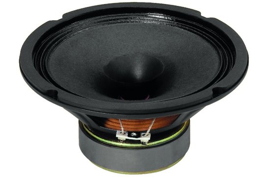 SP-200X Breitbandlautsprecher