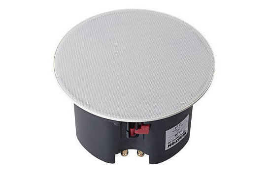 DL 25 10" 100V Deckenlautsprecher 8 Ohm