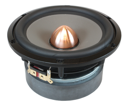 Excel Graphene W16NX003 - E0073-08 5.5" Woofer 8 Ohms
