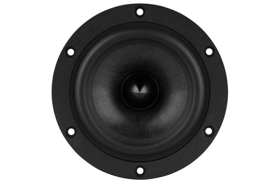Reference RS125P-8 Bass-midwoofer