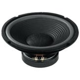 SP-252E 10'' Foam Surround Woofer