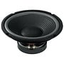 SP-252E 10'' Foam Surround Woofer