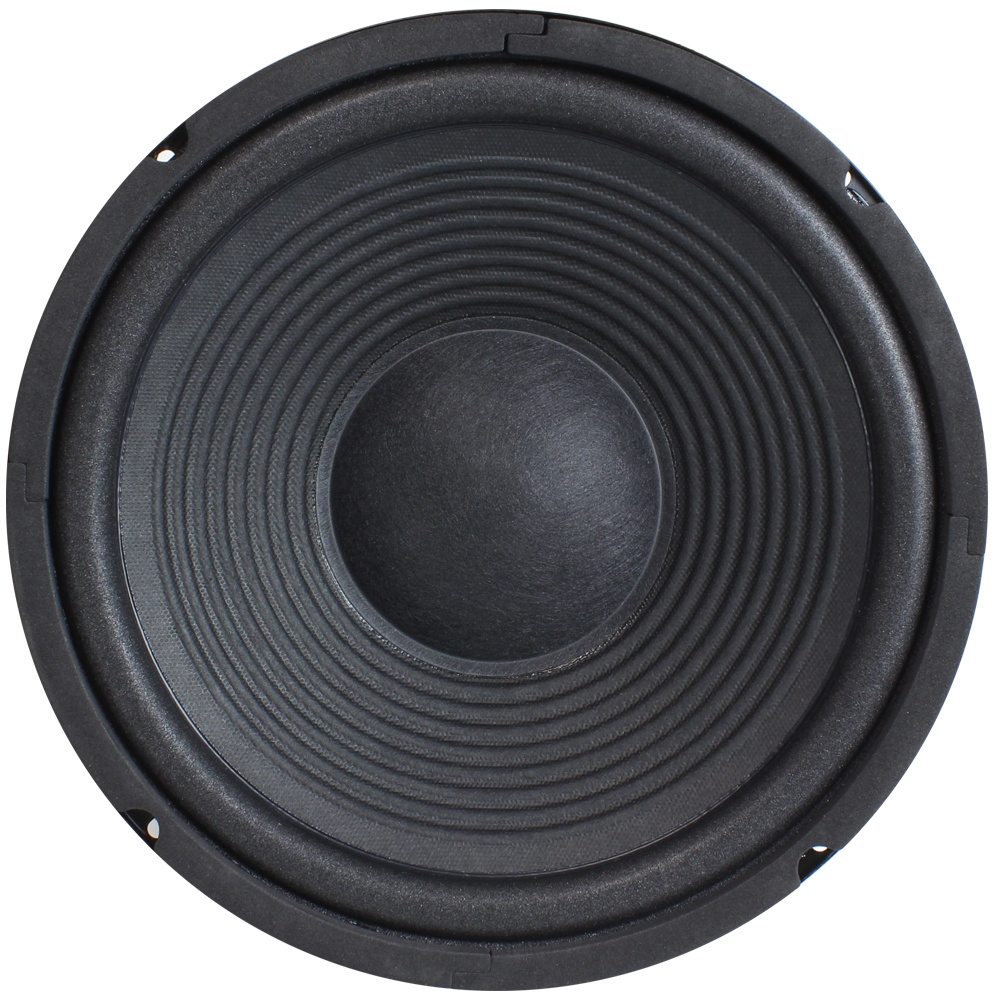 SP-252E 10'' Foam Surround Woofer