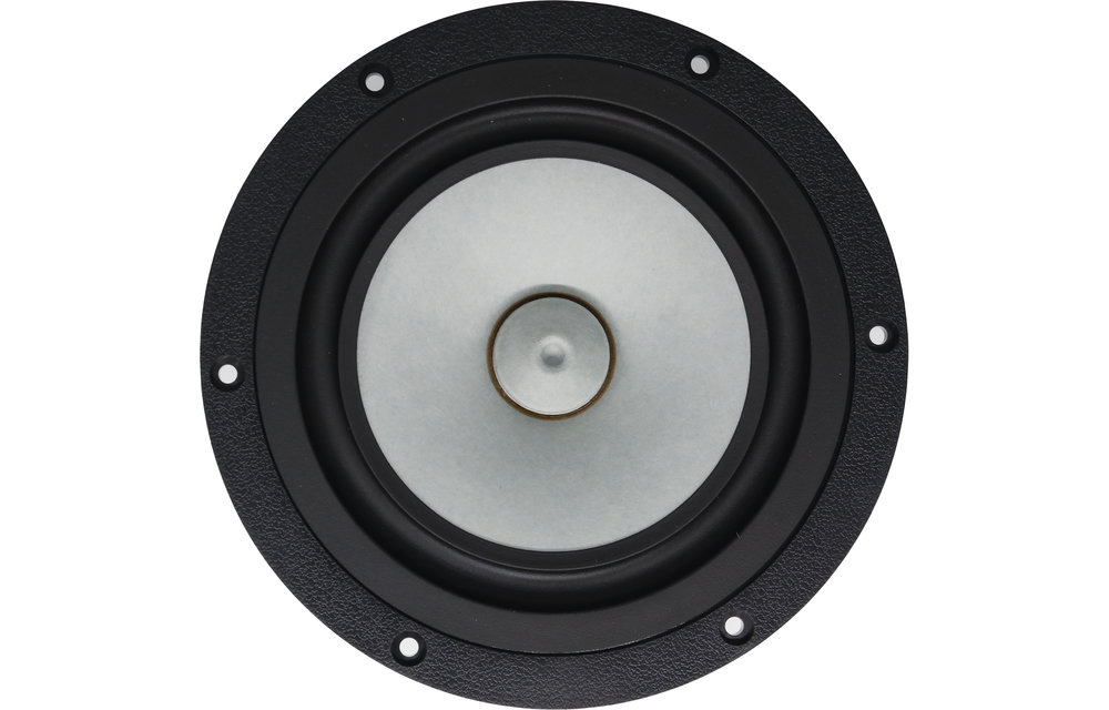 Alpair-10P Full-range Woofer
